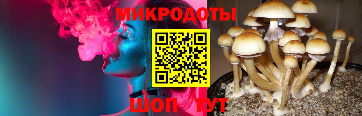 где можно купить наркотик  Вход с VPN  Белая Калитва  Псилоцибиновые грибы GOLDEN TEACHER 